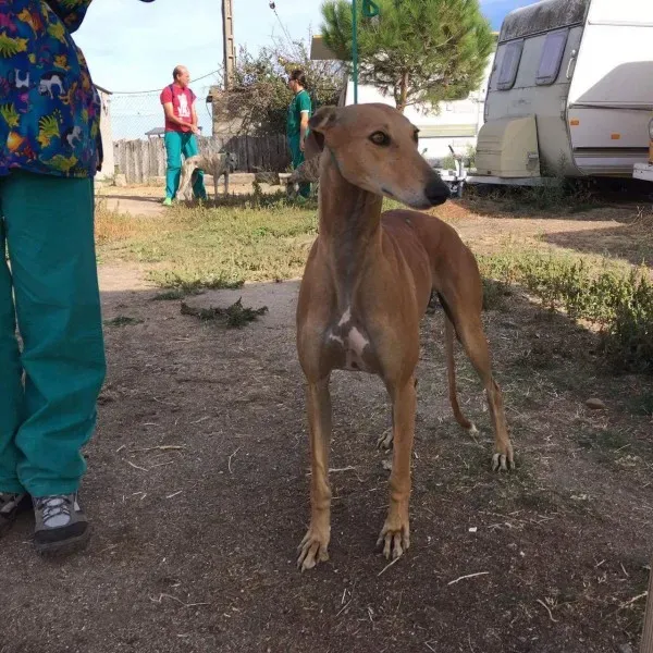 received 10209644335298973