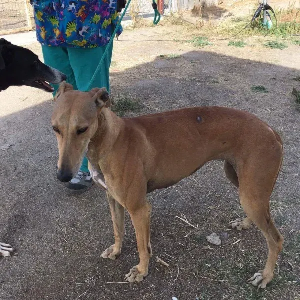 received 10209644335338974