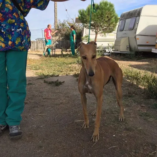 received 10209644335378975