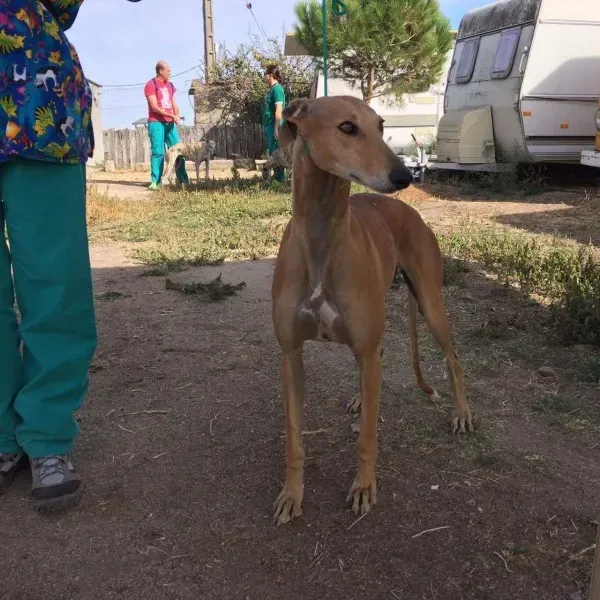 received 10209644335418976