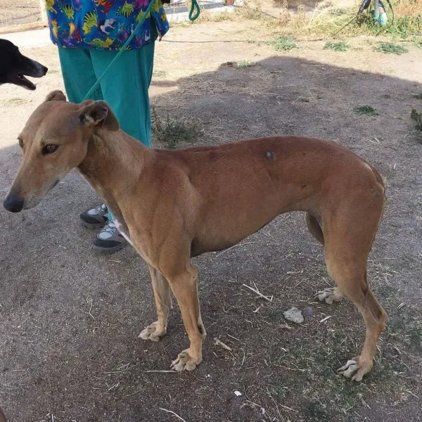 received 10209644335458977