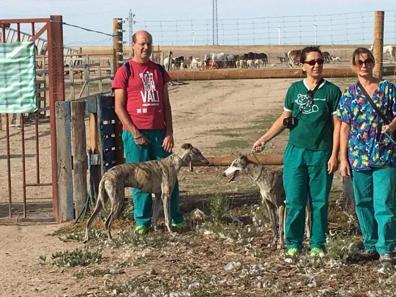 received 10209644351379375