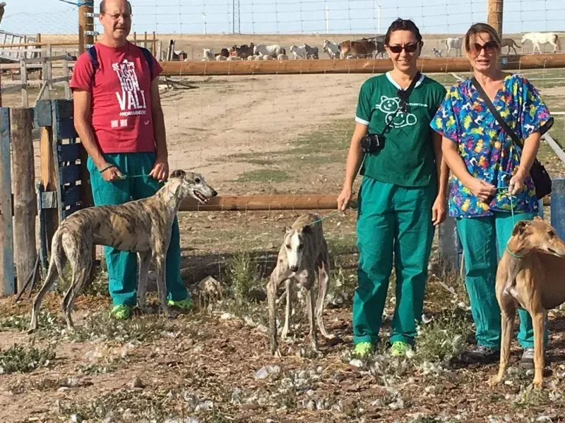 received 10209644351459377