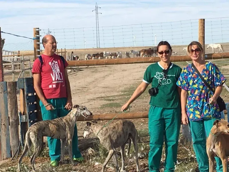 received 10209644351499378