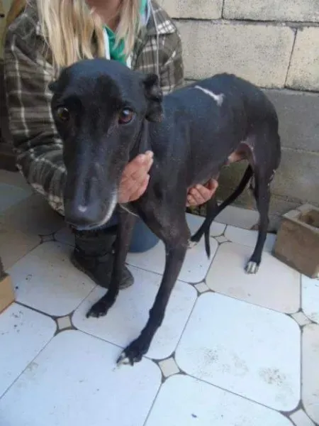 received 10210528958854009