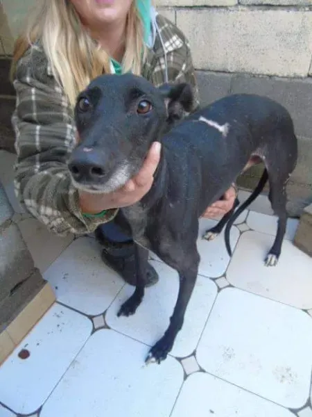 received 10210528960294045