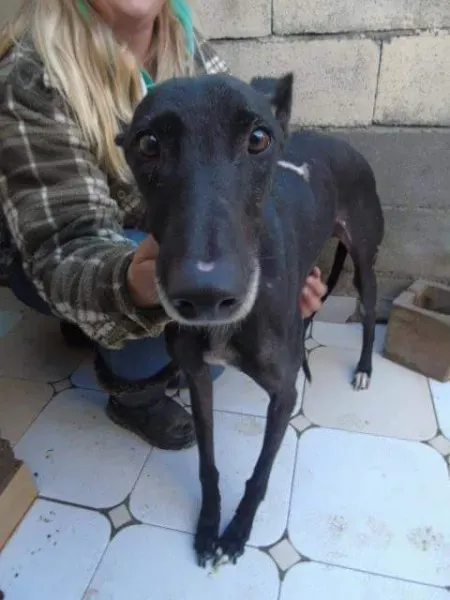 received 10210528961734081 1