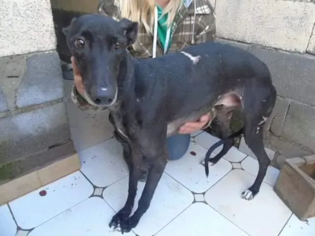 received 10210528962214093