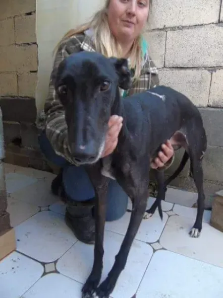 received 10210528962534101 1