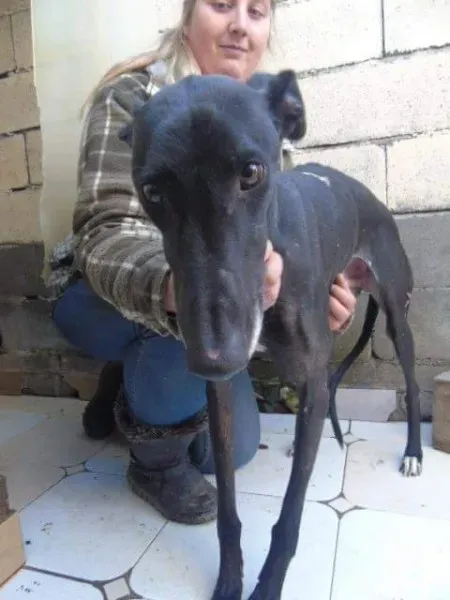 received 10210528964894160