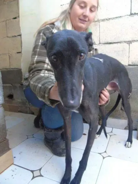 received 10210528965254169