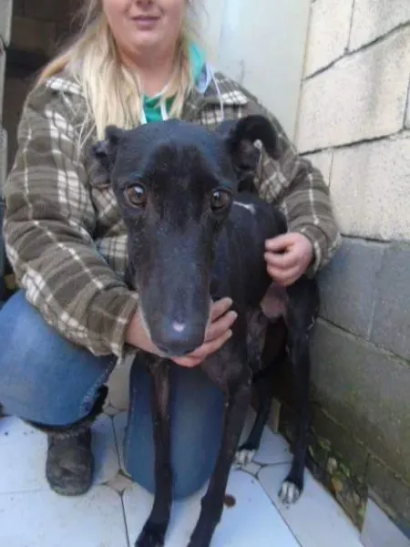 received 10210528967214218