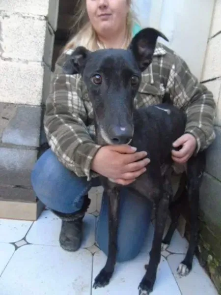 received 10210528967934236