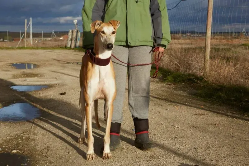 received 10210839057686286