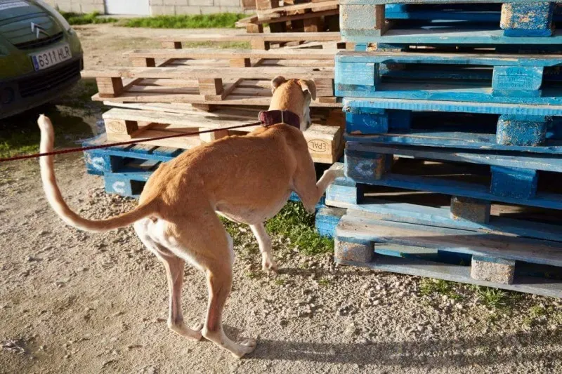 received 10210839057726287