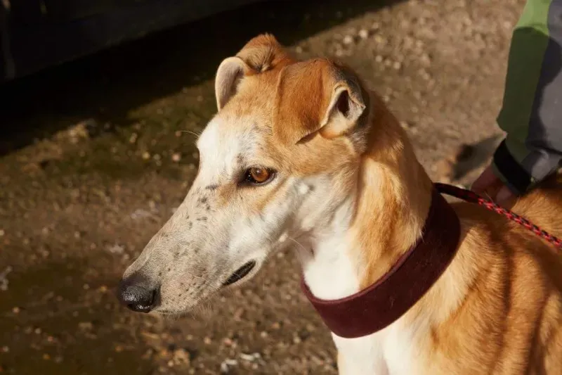 received 10210839058326302