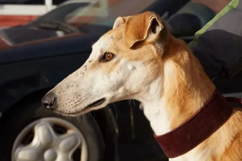 received 10210839058486306