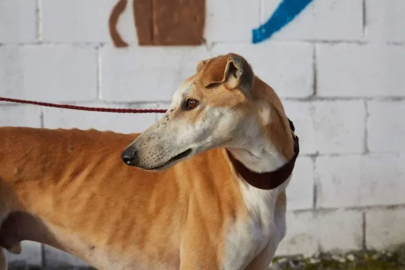 received 10210839058566308