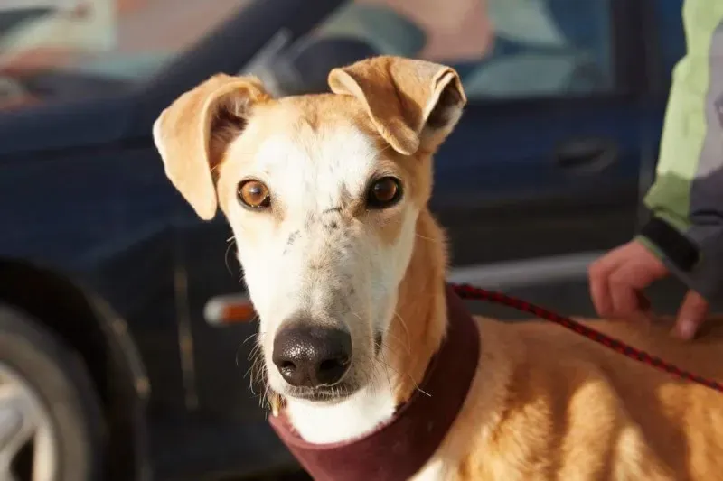 received 10210839058766313