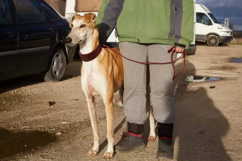 received 10210839058926317