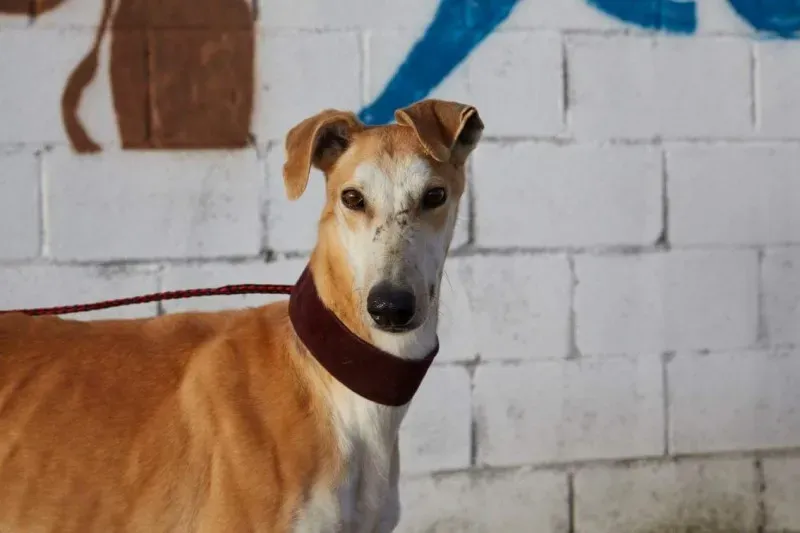 received 10210839059046320