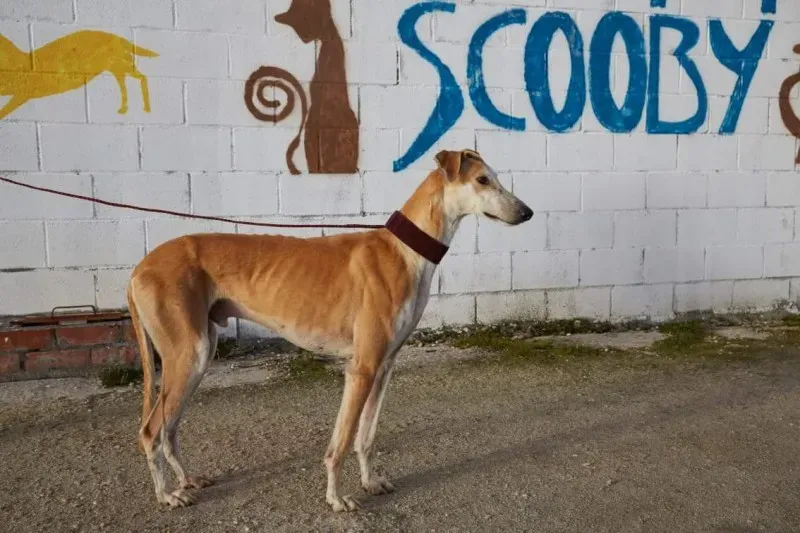 received 10210839059446330