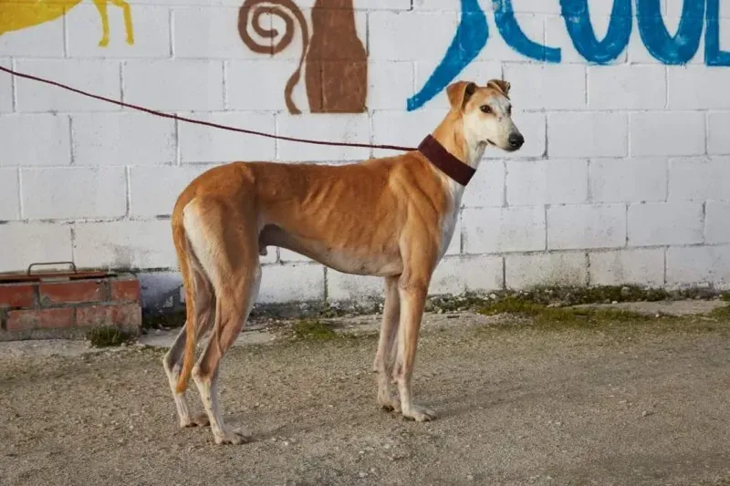 received 10210839059566333