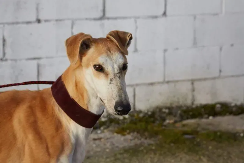 received 10210839059686336