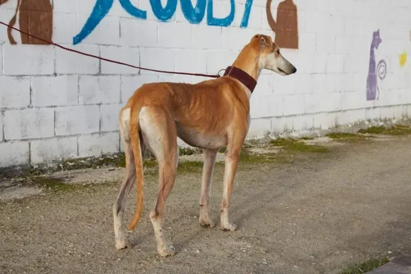 received 10210839059806339