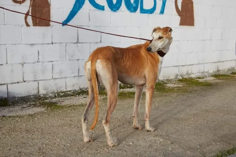 received 10210839060006344