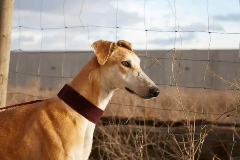 received 10210839060206349