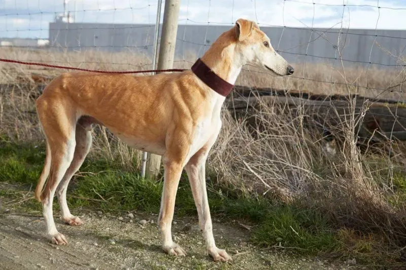 received 10210839060326352