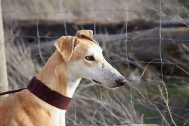 received 10210839060366353