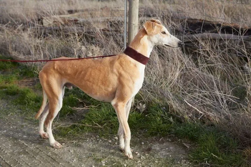 received 10210839060606359