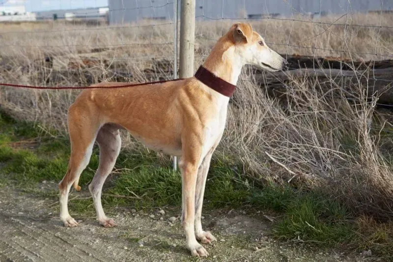 received 10210839060686361