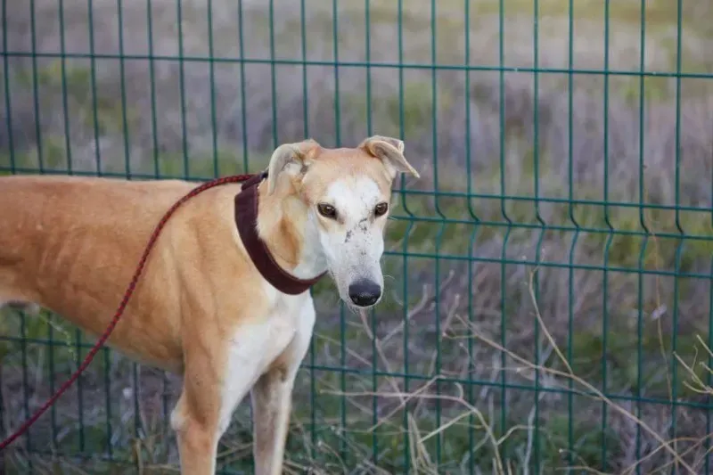 received 10210839060846365