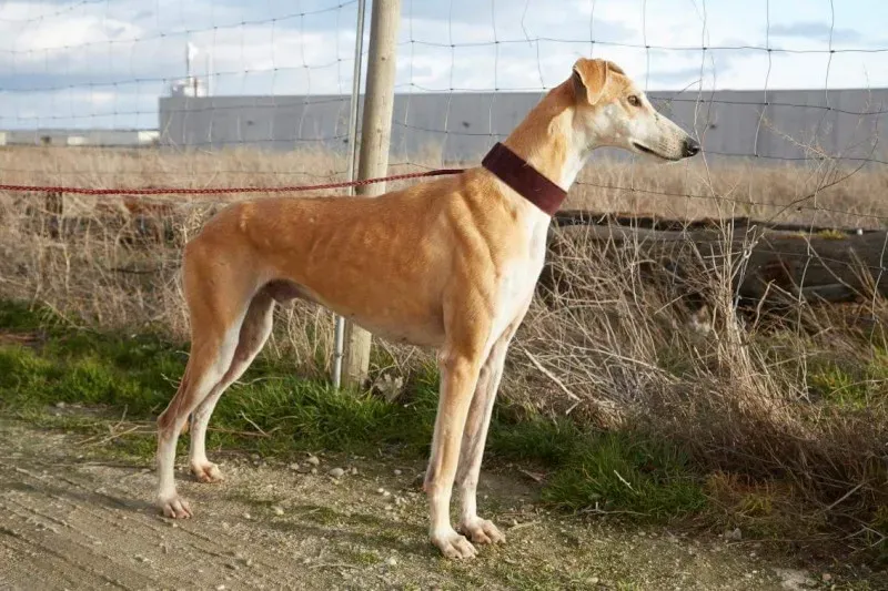 received 10210839061046370