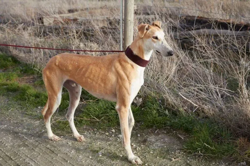 received 10210839061446380