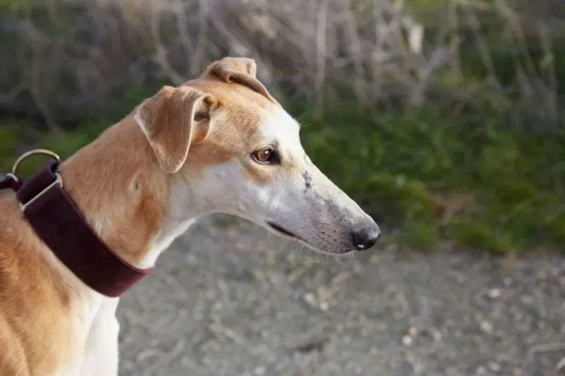 received 10210839061526382