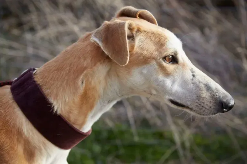 received 10210839061686386