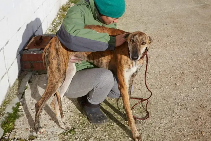 received 10210839092207149