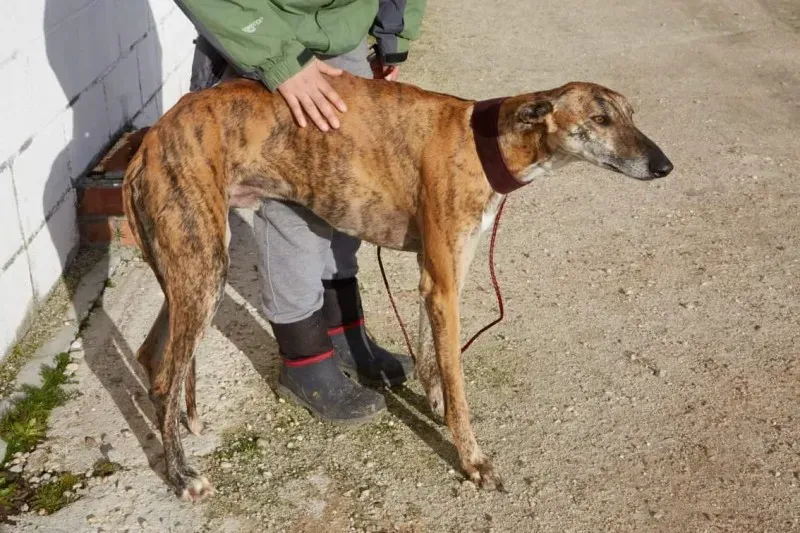 received 10210839092327152