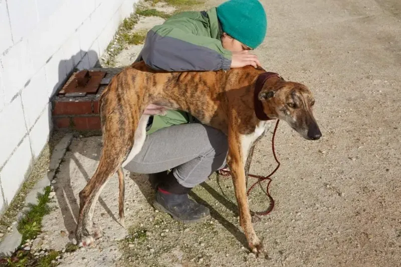 received 10210839093327177