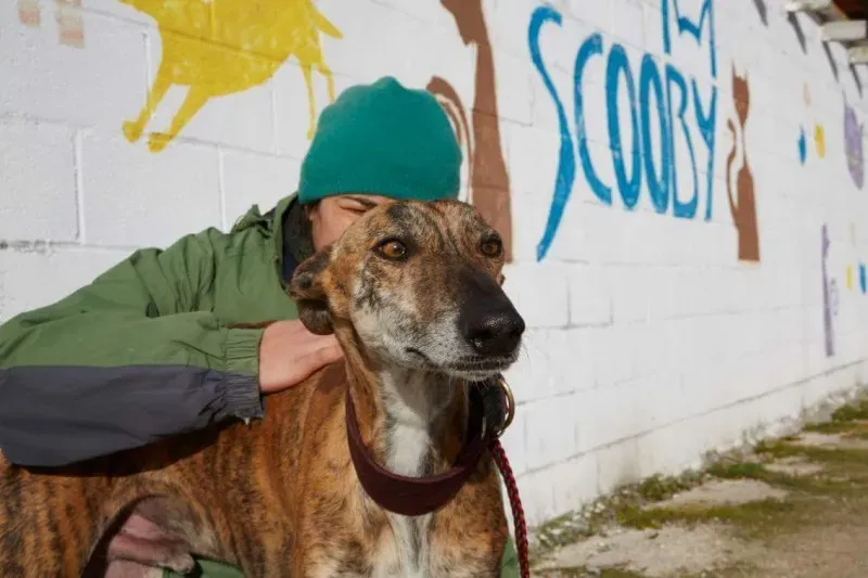 received 10210839093367178