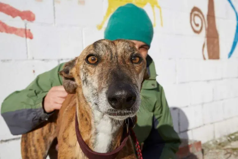 received 10210839093687186