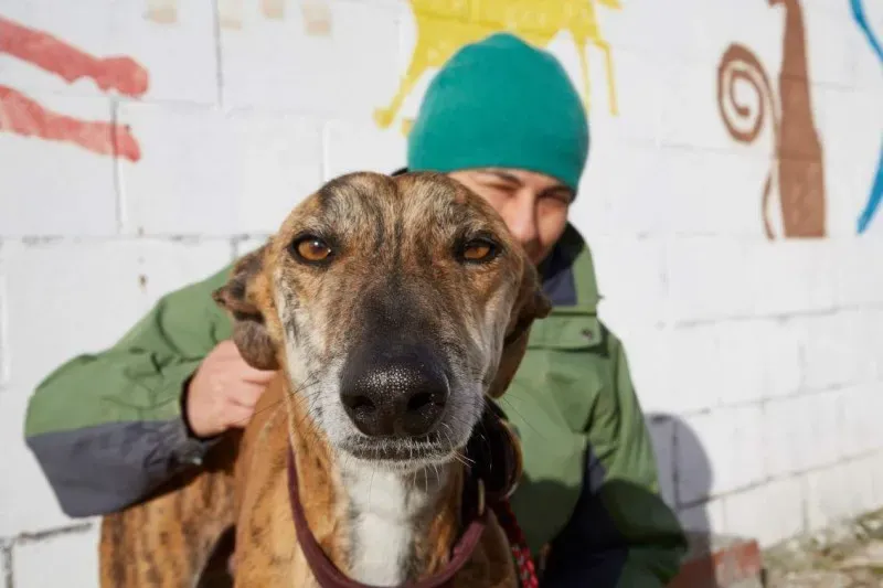 received 10210839093727187