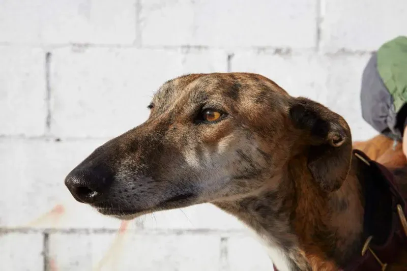 received 10210839094127197