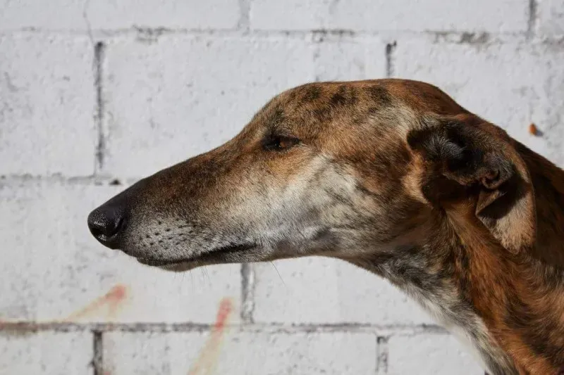 received 10210839094207199