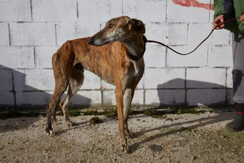 received 10210839094407204