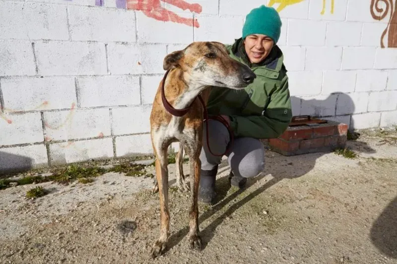 received 10210839094447205